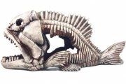 Грот «Декси» - Скелет рыбы №904