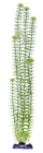 Растение пластиковое PENN PLAX Амбулия с утяжелителем
