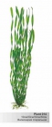 Пластиковое растение Валиснерия спиральная 50см